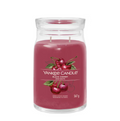 Candela Black Cherry