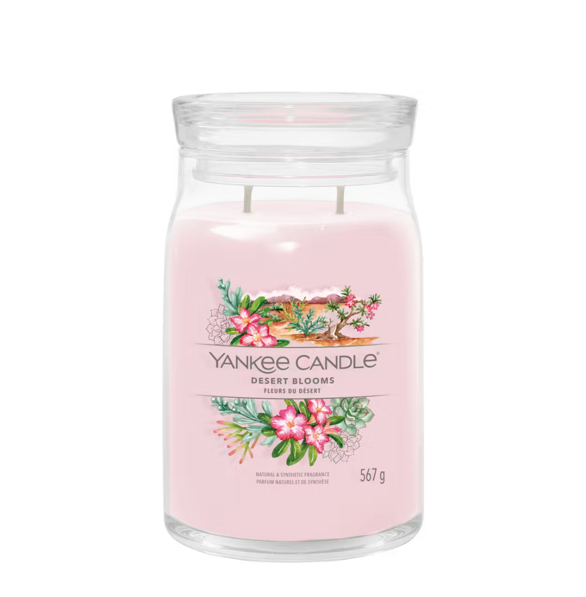 Candela Desert Blooms