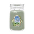 Candela Olive & Cypress