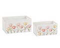 SET 2 CONTENIT. SPRING TULIPS 200X125X100 240X155X120MM