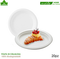 PIATTI BIO FRUTTA CM.18 20 PEZZI