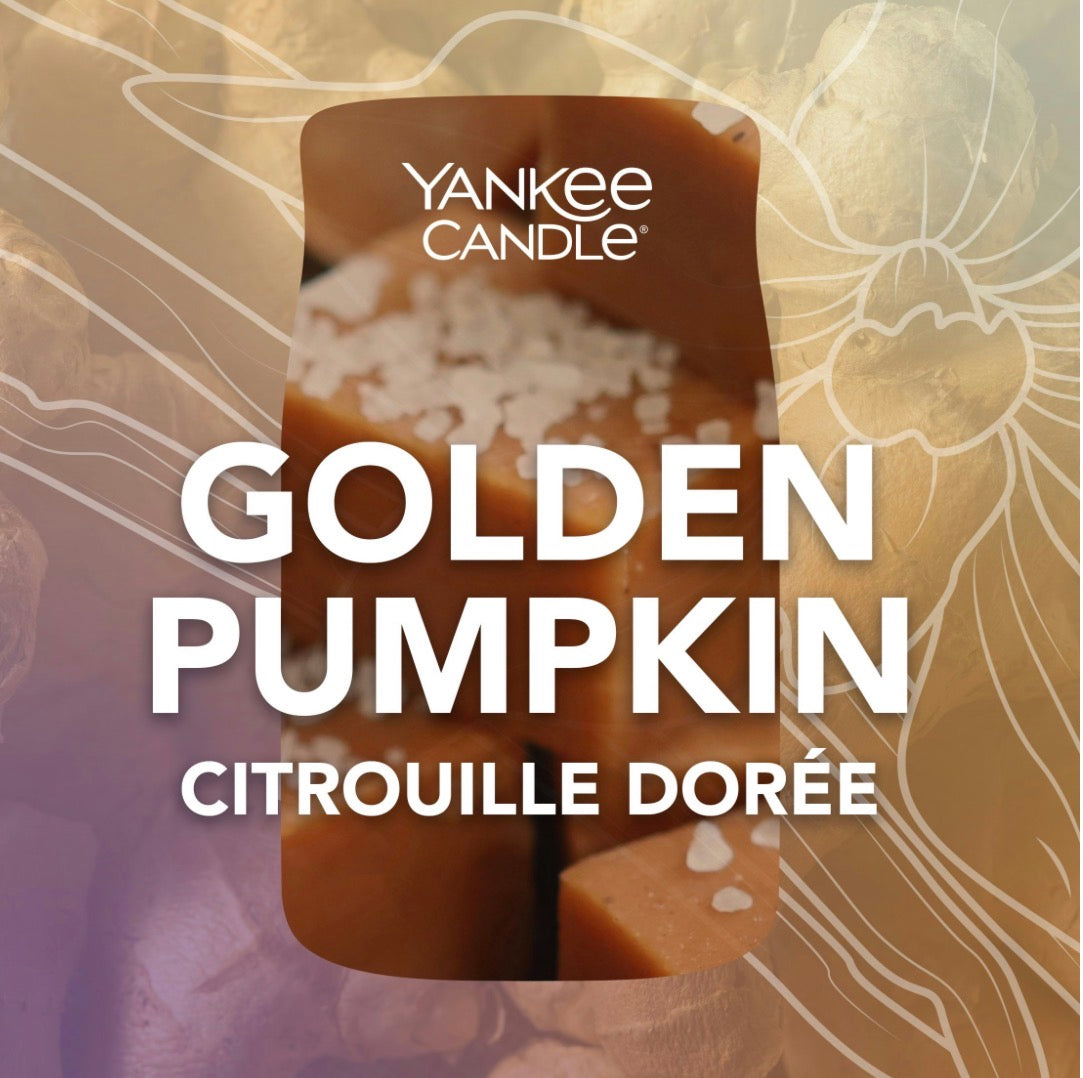 Candela Golden Pumpkin