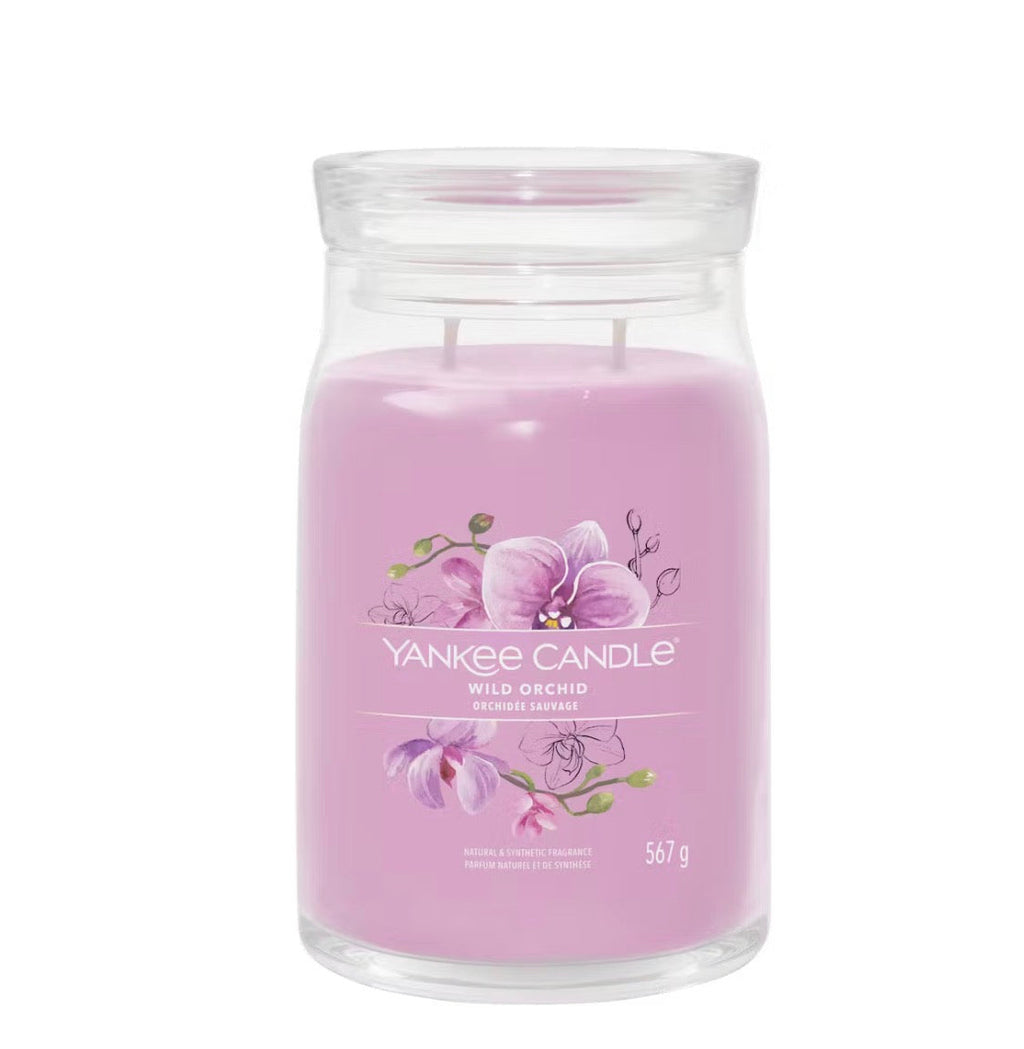 Candela Wild Orchid