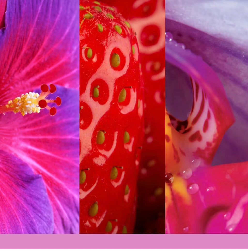 Candela Wild Orchid