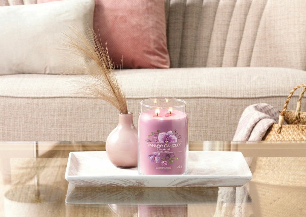 Candela Wild Orchid