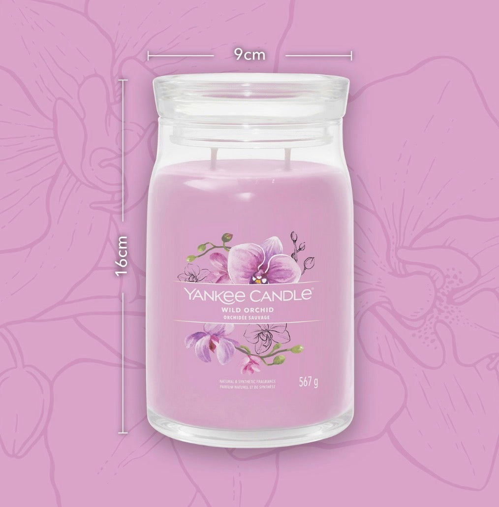 Candela Wild Orchid